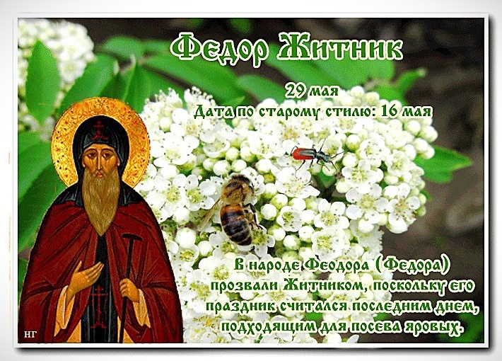 Федор житник картинки с надписями